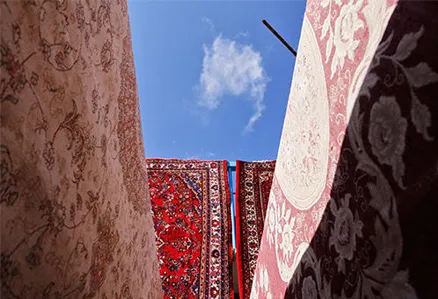 معرفی بهترین مراکز قالیشویی در هفت تیر 